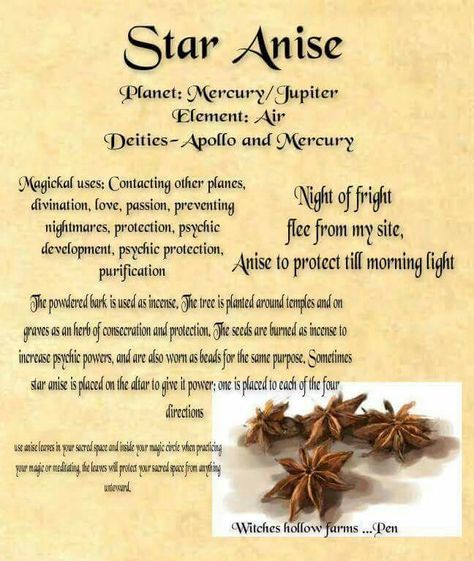 Star Anise information. #spices #herbology #witchcraft Frankensence Incense Uses, Witchcraft Herbs, Magickal Herbs, Witch Herbs, Magia Das Ervas, Magic Herbs, Magick Spells, Magical Herbs, Wiccan Spell Book