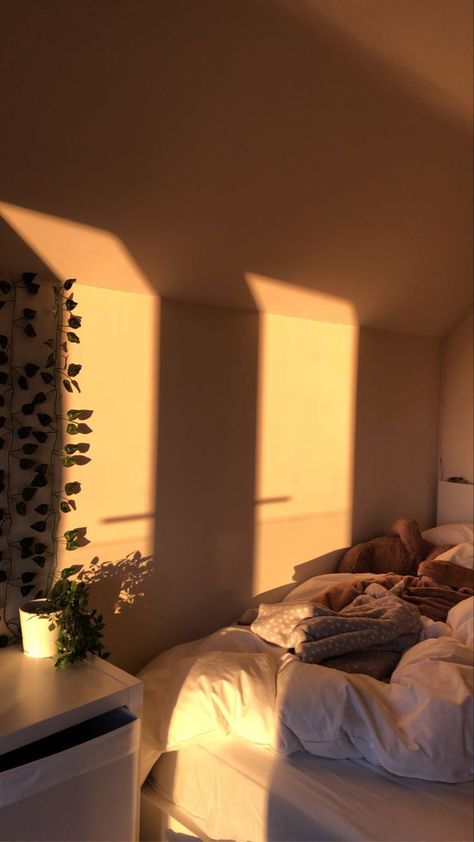 Bedroom Sunlight, Chill Room Aesthetic, Sun Aesthetics, Orange Bedroom Aesthetic, Sunkissed Aesthetic, Manifesting Aesthetic, Beige Room, Sun House, Aesthetic Apartment