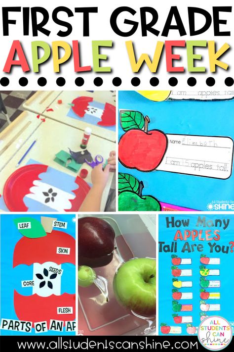 Looking for some great activities you can do during a first grade apple week? In this blog post, I share some of my favorite apple activities for first grade like apple crafts, an apple bulletin board, and labeling parts of an apple! Apple Day Classroom Transformation, Apple Stem Activities First Grade, Apples By Gail Gibbons Activities, Apple Lesson Plans For 1st Grade, Apple First Grade, Johnny Appleseed Day First Grade, Apple Day Activities First Grade, First Grade Fall Bulletin Boards, September First Grade Activities