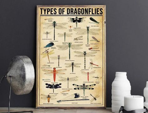 Types Of Dragonfly Poster Dragonfly Knowledge Dragonfly | Etsy Types Of Dragonflies, Movie Art Print, Art Brown, Canvas Print Display, White Home Decor, Waxed Canvas, Art Black, Vintage Wall Art, Black Orange