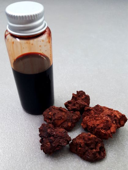 Unsurprisingly, making Dragon’s blood ink is not as straightforward as all the online tutorials with the same copypasted (mis)information make it seem. How To Make Ink, Dracaena Cinnabari, Diy Ink, Homemade Watercolors, Ink Making, Homemade Paint, Natural Dye Fabric, Eco Dyeing, Expressing Love