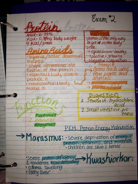 food science human nutrition #college #notes #schoolnotes Nutritional Biochemistry Notes, Nutritionist Study Notes, Nutrition Notes College, Human Nutrition Notes, Nutrition Student Notes, Nutrition Notes Nursing, Food Tech Gcse Revision Notes, Food Tech Revision Notes, Dietetics Student Notes