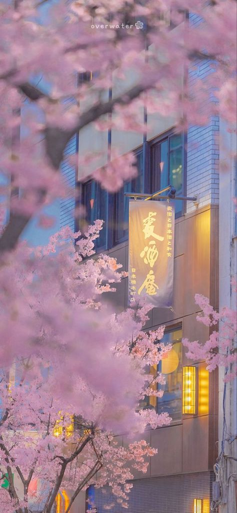 Wallpapers Cute, Cherry Blossom Wallpaper, Pretty Landscapes, Cute Wallpaper, Japan Aesthetic, Aesthetic Japan, Cute Simple Wallpapers, Cool Wallpapers Art, Japanese Aesthetic