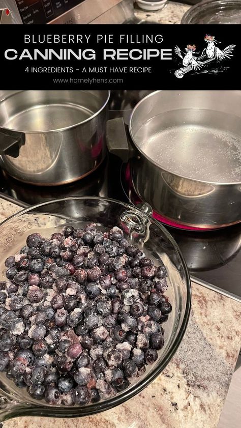 canning, blueberry recipe, blueberry pie filling, recipe, homemade pie, homesteading Recipe For Blueberry Pie, Homemade Blueberry Pie Filling, Frozen Blueberry Pie, Blueberry Pie Filling Recipes, Easy Blueberry Desserts, Mini Blueberry Pies, Homemade Blueberry Pie, Cream Cheese Sugar Cookies, Easy Canning