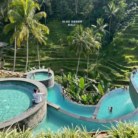 Loving my best bali life ever... @pinterest #bali #baliindonesia #pinterest Bali Indonesia Resorts, Cretya Ubud, Singapore Aesthetic, Bali Activities, Playa Ideas, Bali Travel Photography, Bali Life, Bali Holiday, Bali Baby