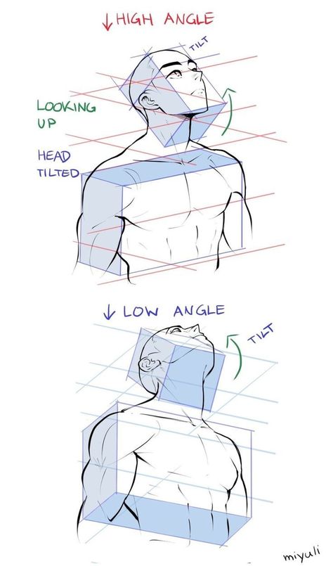 Personaje Fantasy, Head Tilt, Perspective Drawing Lessons, 얼굴 드로잉, Human Anatomy Drawing, Body Drawing Tutorial, Human Anatomy Art, Anatomy Sketches, Body Reference Drawing