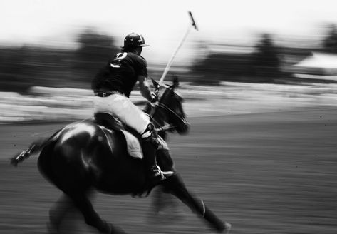 polo Veuve Cliquot, Veuve Clicquot Polo Classic, Ann Street Studio, Jamie Beck, Photography Motion, Polo Horse, Sport Of Kings, Veuve Clicquot, Polo Classic