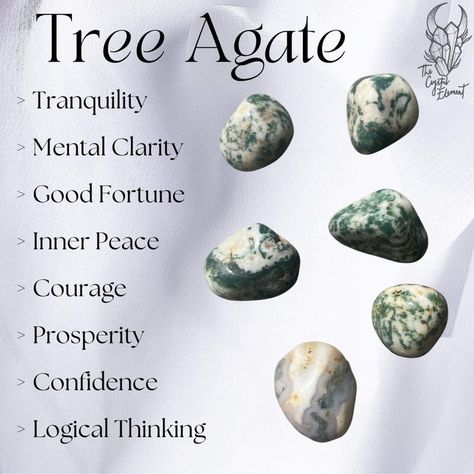 thecrystalelementau - Etsy Tree Agate Crystal Meaning, Tree Agate Meaning, Tree Agate Crystal, Gemini And Scorpio, Warrior Within, Tree Agate, Logical Thinking, Agate Crystal, Root Chakra