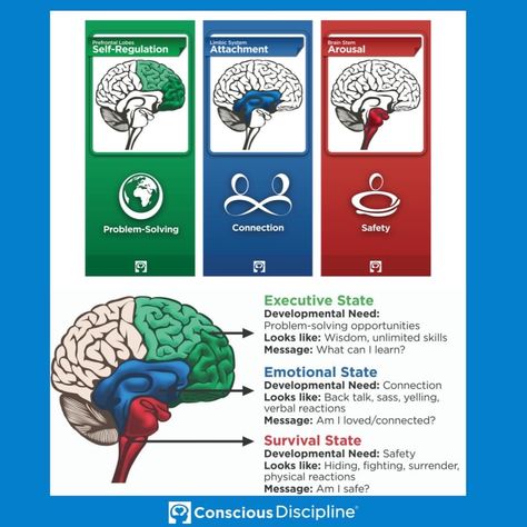 Brain States, Conscious Discipline, Limbic System, Conscious Parenting, Smart Parenting, Self Regulation, Social Stories, Preschool Classroom, Social Emotional Learning