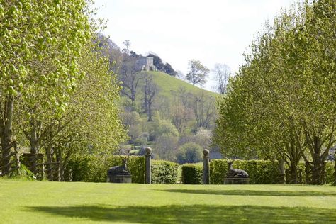 10 Everyday Ideas to Steal from Estate Gardens - Gardenista 18th Century Landscape, Orchard Design, Estate Gardens, Orchard Garden, Garden Estate, English Gardens, Estate Garden, English Country Gardens, Garden Landscape Design