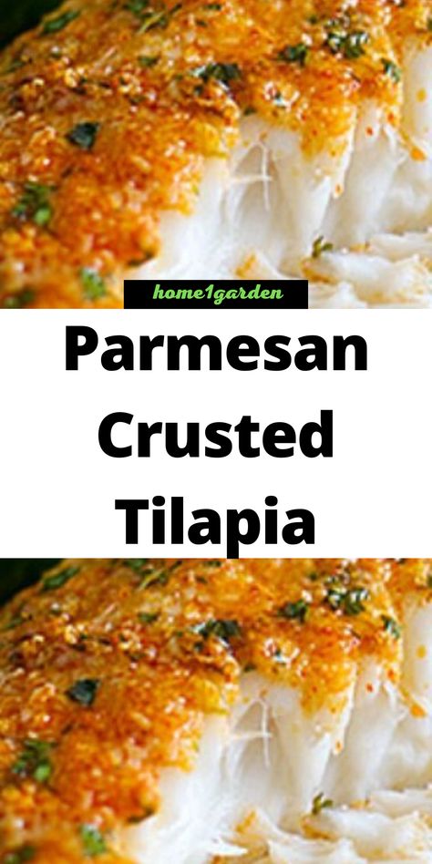 Breaded Tilapia Recipes Baked Parmesan Crusted, Garlic Parmesan Tilapia Baked, Tilapia Mayonnaise Parmesan, Parmasean Crusted Tilapia Baked, Crispy Baked Tilapia Recipes, Tilapia Recipes Crusted, Keto Tilapia Recipes Baked, Crusted Talipia Recipes, Tilapia Recipes With Pasta