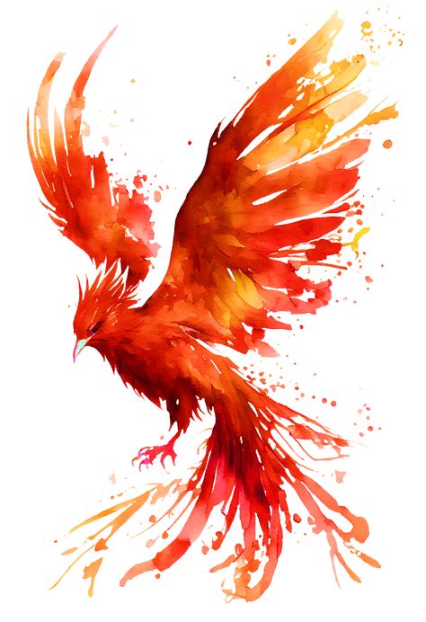 Phoenix Inspiration, Flying Phoenix Tattoo, Flying Bird Art, Phoenix Watercolor, Phoenix Flying, Phoenix Illustration, Phoenix Painting, Fantasy Queen, Flying Tattoo