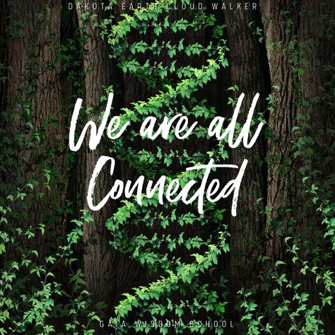 Connection Images, Everyone Is Connected, Lv Quotes, Connected To The Universe, Connection Quotes, Spiritual Science, Kundalini Awakening, Earth Mama, Happy Stuff