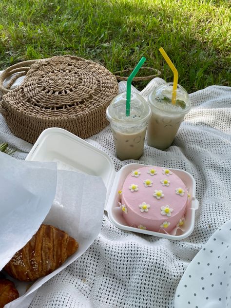 Cake Picnic Ideas, Aesthetic Cake Picnic, Bff Birthday Cake Ideas, Mini Layer Cakes Birthday, Picnic Simple Ideas, Cake Picnic Aesthetic, Small Picnic Ideas For Two, Mini Picnic Ideas, Picnic Cake Aesthetic