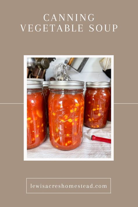 A clickable pin graphic on how to can vegetable soup. Pressure Canning Vegetable Soup, How To Can Vegetable Soup, Canning Vegetable Soup Recipes, Canned Vegetable Soup Recipes, Can Vegetable Soup, Canning Vegetable Soup, Canned Vegetable Soup, Canning Tutorial, Freezing Recipes