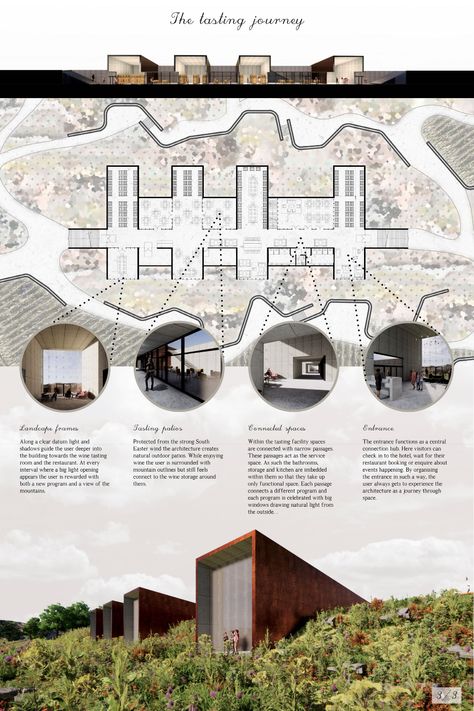 The Fynbos Wine Experience | Concept Architecture Project Winery Architecture Projects, Wine Factory Architecture, Architectural Project Presentation, Winery Architecture Design, Winery Layout, Wine Cellar Architecture, Architecture Project Presentation, Factory Facade Design, Winery Architecture