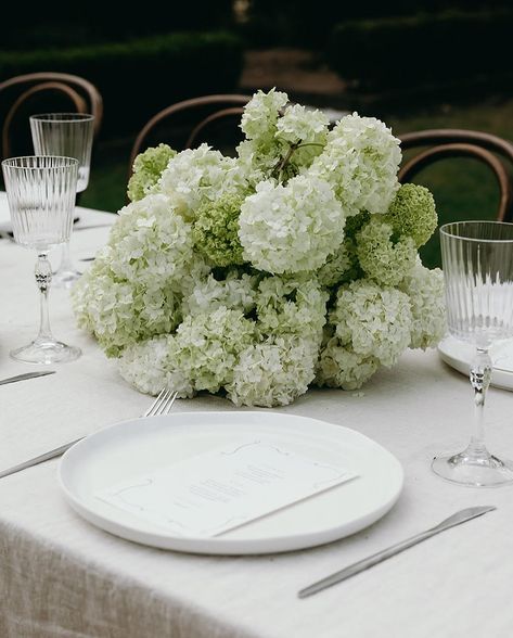 Wedding, Corporate & Freelance Florist | Not into a colourful palette? Using textural pieces with abstract shapes is another great way to draw attention and intrigue.… | Instagram Green Hydrangea Wedding, Timeless Wedding Decor, Chic Wedding Venues, White Wedding Centerpieces, Wedding Flowers Hydrangea, Table Flower Arrangements, Unique Floral Arrangements, Hydrangea Centerpiece, Wedding Reception Design