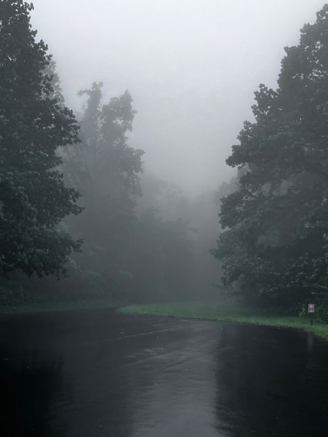 Foggy day in shenendoa valley on national park day Foggy Day Aesthetic, Majestic Aesthetic, Foggy Ocean, Calming Photos, Vienna Waits For You, Smell Of Rain, Park Day, Rainy Day Aesthetic, Foggy Day