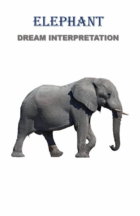 What does an elephant indicate in the dream? Seeing an elephant in the dream symbolizes abundance, courage, love, dignity, power, wisdom, patience, and good luck.  #elephant #animal #wild #nature #zoo #dreams #meanings #life #lifequotes #lifehacks #health #bts #diy #handmade #ideas #decor #homedecor #luck #gift https://guidetodreams.com/elephant-dream-interpretation/ Bts Diy, Good Luck Elephant, Grey Elephant, Elephant Love, Dream Interpretation, Living Things, Handmade Ideas, Wild Nature, An Elephant