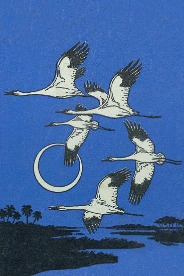 Hi Resolution Images, Nature Poster Aesthetic, Geese Illustration, Moonlight Poster, Posters Nature, Nature Magazine, Geese Flying, Nature Poster, Travel Sketchbook