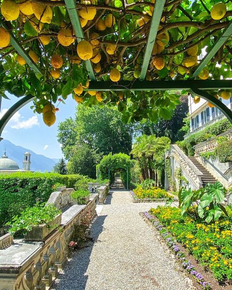 6,011 mentions J’aime, 209 commentaires - Ines Pink (@pinkines) sur Instagram : "Walking around the lemon grove of Villa Carlotta 🍋🍋" Tremezzo Lake Como, Traveling Couple, Villa Carlotta, Villa Toscana, Lemon Grove, Europe Style, Nature Hd, Virtual Travel, Lake Como Italy