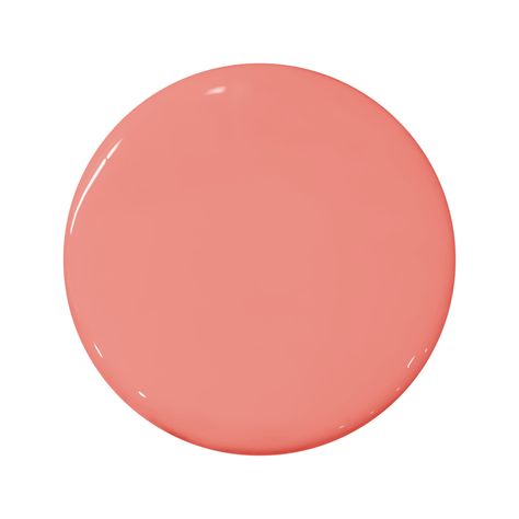 The 5 Best Coral Paint Colors to Add Warmth to Your Home Coral Paint Colors, Coral Paint, Navy Blue Tile, Portola Paint, Tropical Bathroom, Tile Covers, Glaze Paint, Bathroom Color, Shabby Chic Bedroom