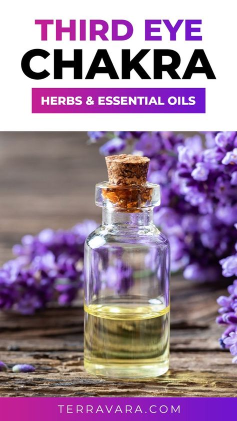 Herbs and essential oils for the throat chakra. Chakra Herbs, Essential Oils For Healing, Oils For Healing, The Third Eye Chakra, Spiritual Eyes, Third Eye Opening, Opening Your Third Eye, Healing Essential Oils, Healing Spells