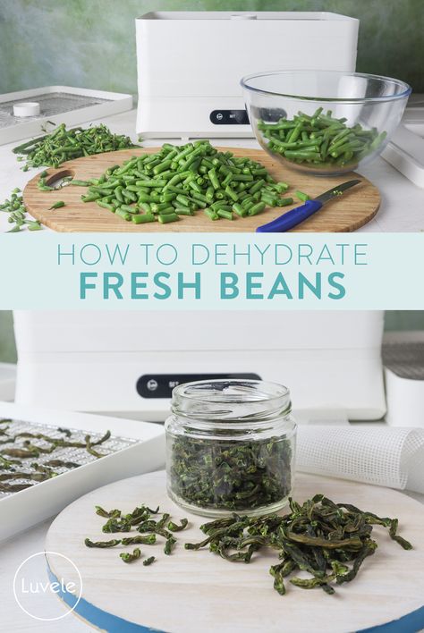 Dehydrating Green Beans, Dehydrate Green Beans, How To Preserve Green Beans, Meal Jars, Green Beans Canned, Dehydrated Veggies, Dehydrated Kale, Dehydrated Green Beans, Dehydration Recipes