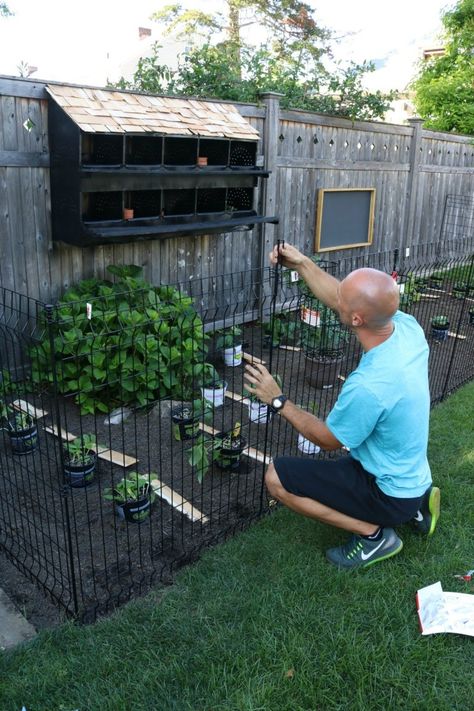 Our new Garden and Tips to keep Animals Out - Nesting With Grace Keep Animals Out Of Garden, Animal Proof Garden, Small Garden Fence, Fenced Vegetable Garden, Diy Garden Fence, Nesting With Grace, Dig Gardens, Backyard Vegetable Gardens, Fence Landscaping