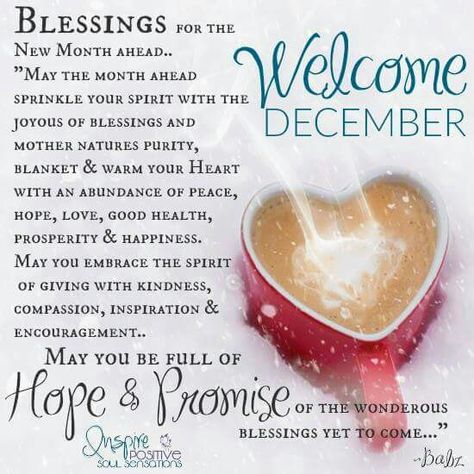 December Blessings Quotes, Welcome December Quotes, Hello December Quotes, Happy New Month Quotes, New Month Quotes, Welcome December, December Quotes, Wish Board, Happy Wednesday Quotes