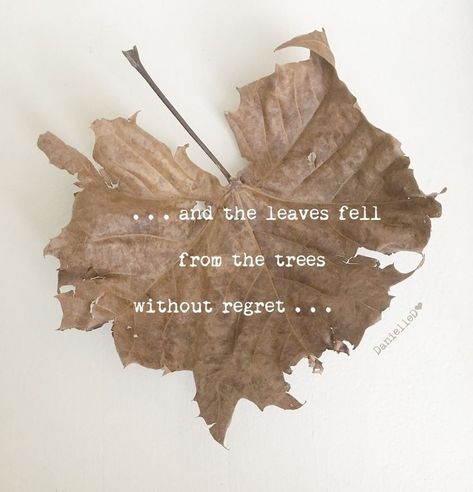 Autumn Days Quotes, Autumn Poems Poetry, Autumn Beauty Quotes, Fall Leaves Quotes, Autumn Quotes Aesthetic, Fall Whispers, Autumn Poem, Autumn Poetry, Autumn Poems