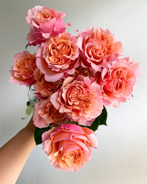 These garden roses show peach, orange, light pink, and raspberry in their many folding petals. Spring Flower Arrangements, Rose Varieties, Cut Flower Garden, Nothing But Flowers, Rose Orange, Flower Therapy, Peach Flowers, Japanese Flowers, Peach Orange