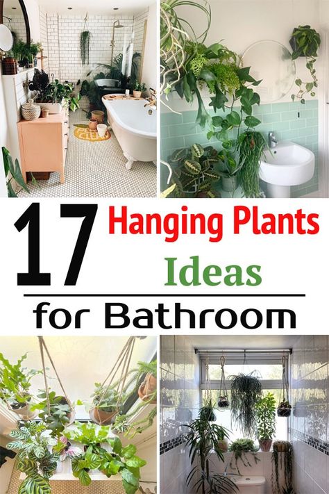 Using these awesome Hanging Plants Ideas for Bathrooms you can bring a touch of greenery and enjoy nature while having a relaxing bath! Hanging Plant In Bathroom Ideas, Bathroom Plant Hanging, Plants Hanging From Ceiling Bathroom, How To Hang Plants In Bathroom, Hanging Plants Shower Ceiling, Plant Ideas For Bathroom, Plants Around Tub, Hanging Plants Over Tub, Inside Hanging Plants Ideas