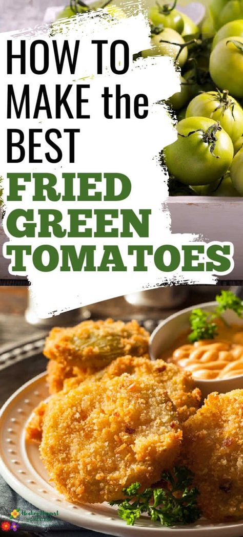 Fried Green Tomatoes Recipe Easy, Best Fried Green Tomatoes, Fried Green Tomatoes Recipe, Green Tomato Recipes, Fried Tomatoes, Kreative Snacks, Tomatoes Recipe, Homemade Cornbread, Fried Green