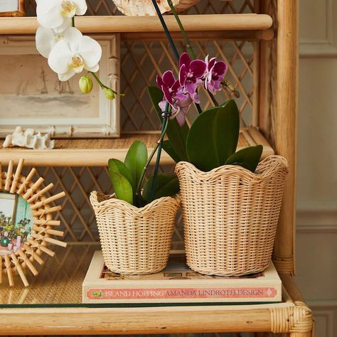 Amanda Lindroth, Bamboo Picture Frames, Potted Flowers, Woven Placemats, Large Baskets, Wicker Basket, Shelf Styling, Cut Flowers, Wicker Baskets