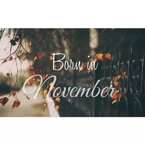 Born In November november hello november november quotes Sweet November Quotes, 19th Birthday Quotes, November Birthday Quotes, 19 Birthday Quotes, Hallo November, November Hello, Quotes For Me, Birthday Month Quotes, November Pictures