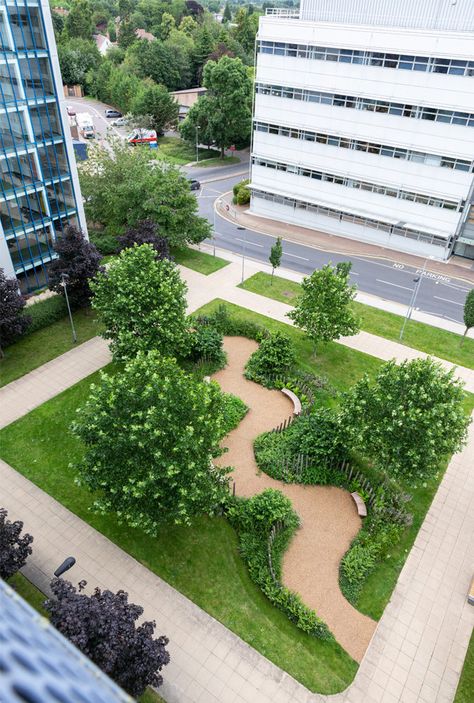 Addenbrooke's NHS 70 Garden – Bowles & Wyer Healing Garden Design, Peace In Nature, Plaza Design, Pocket Park, Urban Landscape Design, Healing Garden, Courtyard Design, Sensory Garden, Landscape And Urbanism