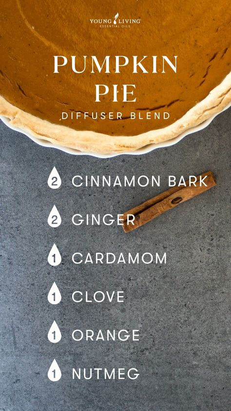 Ginger Diffuser Blend, Nutmeg Essential Oil Young Living, Diffuser Blends Young Living, Essential Oils Young Living, Fall Essential Oils, Nutmeg Essential Oil, Fall Diffuser Blends, Essential Oil Skin Care, Essential Oil Diffuser Blends Recipes