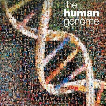 Highlights include an interactive timeline of the human genome, a virtual tour of the Smithsonian’s Genome exhibit, 3D imagery and video. Resources are available for teachers from genetics organizations worldwide. Students are able to explore jobs in the field via the Genomic Career Resource tool. Seafloor Spreading, Dna Art, Interactive Timeline, Journal Publication, Life Code, Scientific Journal, Human Genome, Human Dna, Nanotechnology