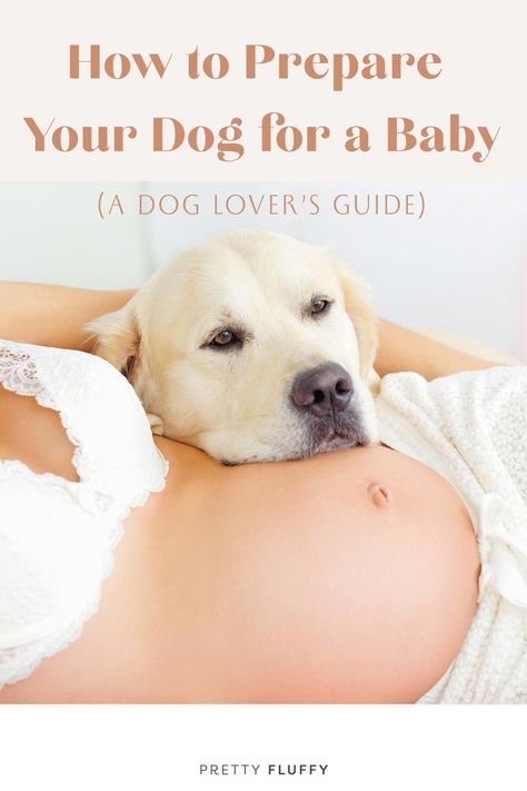 Baby Preparation Checklist, Dog At Home, Living With Dogs, Pregnancy Info, Newborn Mom, Baby Life Hacks, Baby Sounds, Expecting A Baby, Dog Happy