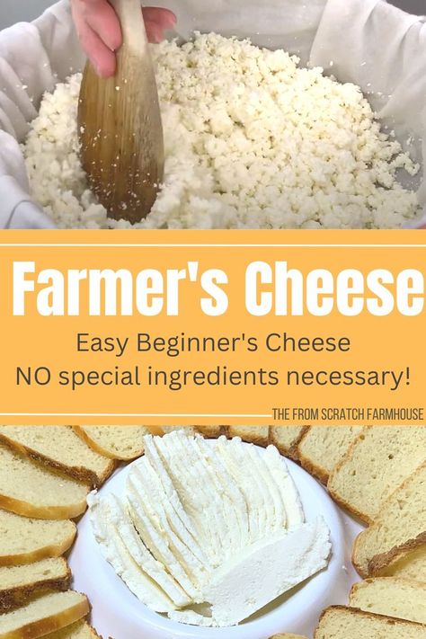 Quick and easy farmer's cheese in the cheese curd stage and then pressed into slices of cheese plated with some bread. Farmers Cheese Recipes, Cheese Recipes Homemade, Farmer’s Cheese, Cheese Making Recipes, Farm Cheese, Raw Cheese, Goat Milk Recipes, Diy Cheese, Easy Cheese Recipes