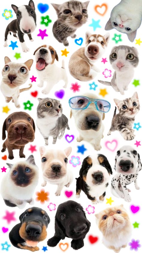 🐶🫶🏼 #wallpaper #collage #y2k #childhood #puppy #kitty #kidcore #early2000s Y2k Childhood, 2000s Wallpaper, Wallpaper Collage, Personalized Dog Collars, 수채화 그림, Silly Dogs, Arte Inspo, Dog Wallpaper, Silly Animals