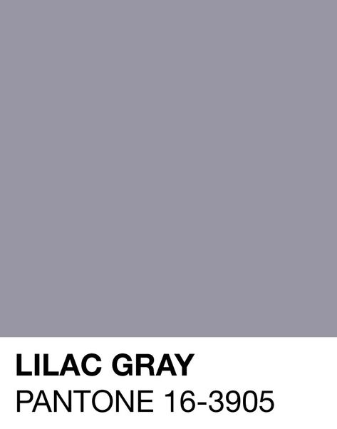 Lilac Gray Pantone 16-3905 Spring/Summer 2016 Wedding Design Board, Lilac Gray, Pantone 2016, Lilac Grey, Spring Wedding Colors, Summer Wedding Colors, Gray Bedroom, Color Inspo, Art Furniture