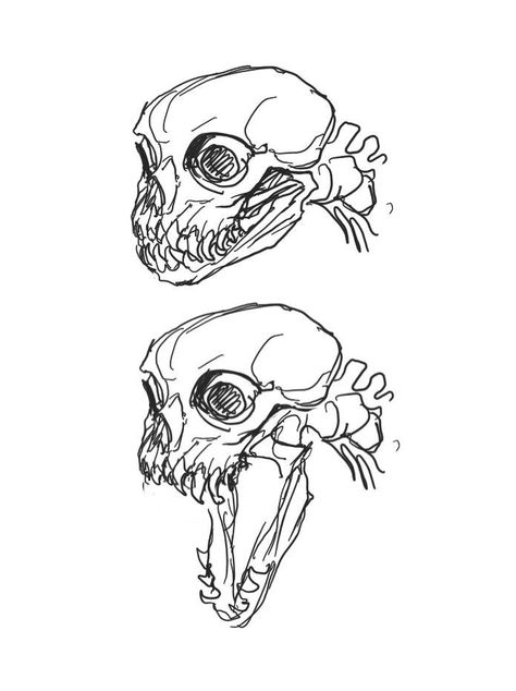 Monster Jaw Reference, Art Sketches References, Demonic Drawing, Skull Creature, Demon Drawing, Monster Skull, Mythical Beasts, Arte Inspo, Monster Design