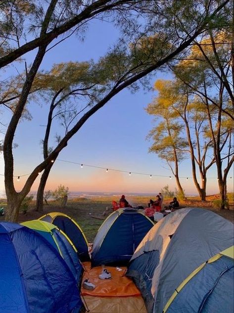 Say You Swear Meagan Brandy Book Cover, Say You Swear Book Aesthetic, Say You Swear Meagan Brandy, Say You Swear, Noah Riley, Funny Hiking Quotes, Meagan Brandy, Book Couples, Camping Aesthetic