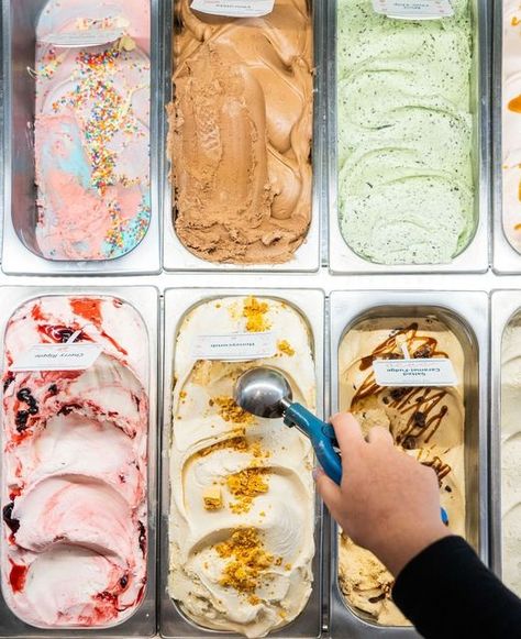 Gisborne Ice Cream Co on Instagram: "So many flavours, so many combos, so many delicious decisions to be made! 🤤 Don't be shy to ask our ice cream experts for a recommendation or a cheeky sample! . . . . #gisborneicecreamco #gisborne #macedonranges #daylesfordmacedonranges #macedonrangesnaturallycool #mountmacedon #handmadeicecream #melbourneicecream #visitvictoria #explorevictoria #countryvictoria" Ice Cream Flavors Aesthetic, Vintage Ice Cream Shop Photoshoot, Ice Cream Shoot Photography, Ice Cream Photography Ideas, Ice Cream Shop Photography, Ice Cream Content, Ice Cream Marketing, Gelato Photography, Ice Cream Photoshoot