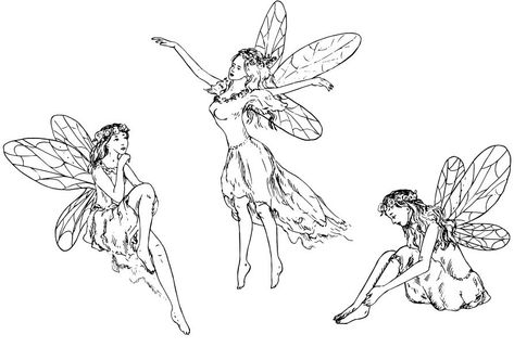 Fairy Sketch, Sketch Black And White, Fairy Drawing, Fairies Flying, Rose Drawing Tattoo, Fairies Photos, Fairy Paintings, Fairy Tattoo Designs, Fairy Drawings