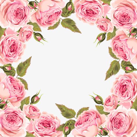 Pink Rose Frame, Paisley Name, Roses Png, Flower Frames, Rose Frame, Baby Cookies, Name Wallpaper, Butterfly Wallpaper