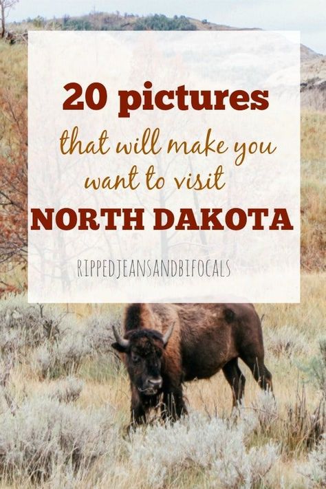 Travel North Dakota, Travel Out West, North Dakota Travel, Western Travel, Out West, Usa Travel Destinations, United States Travel, Road Trip Usa, North Dakota