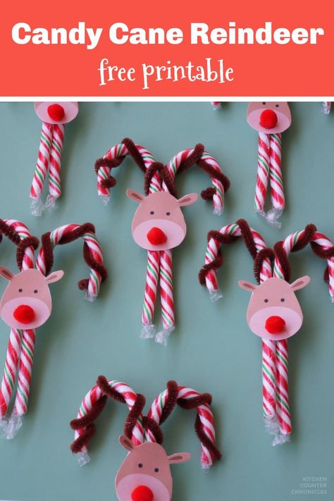 How cute are these candy cane reindeer? A super simple reindeer craft to A super cute and easy to make candy cane reindeer craft. Complete with the free printable reindeer faces. Make a candy cane Rudolph and the whole reindeer team #candycanereindeer #reindeercraft #rudolphcraft #christmascraft #ediblegift #christmasgift #homemadegift #kitchencounterchronicles Candy Cane Rudolph Reindeer, Winter Candy Grams, Candy Cane Reindeer Craft For Kids, Candy Cane Ideas Christmas, Candy Cane Gifts For Kids, Christmas Grams Fundraiser, Christmas Grams For School, Crafts With Candy Canes, Candy Grams Christmas